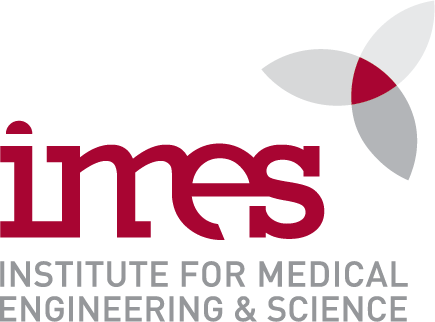 MIT IMES logo